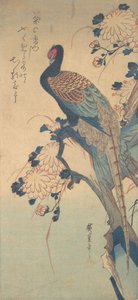 Faisán con crisantemos de Ando Hiroshige