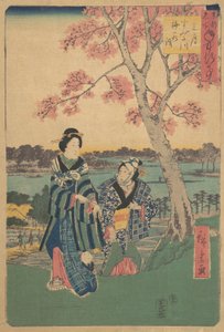 Observación de flores de ciruelo en el tercer mes en el río Sumida de la serie Eventos Anuales en F..., 1854 de Ando Hiroshige