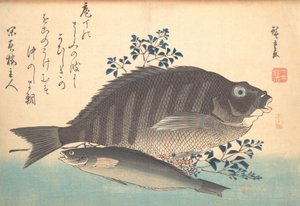 Shimadai y pez Ainame, de la serie Uozukushi Cada variedad de pez, 1840s de Ando Hiroshige