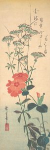 Claveles soberbios y agrimonia china, ca. 1836