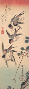 Golondrinas y cerezo silvestre en flor, ca. 1835 de Ando Hiroshige