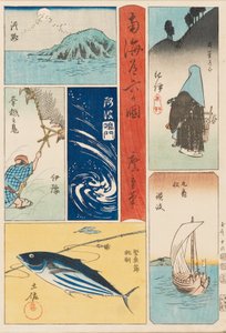 Impresión Ukiyo-e - Nankaido Rokka-koku, siglo XIX de Ando Hiroshige