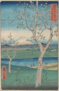 Vista del Monte Fuji desde Koshigaya, Provincia de Musashi, 4º mes, Año del Caballo 1858