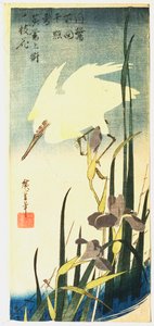Garza blanca e iris, 1833 de Ando Hiroshige