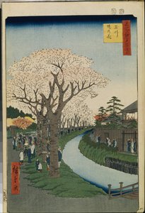 Cien vistas célebres de Edo: Cerezos en flor en las orillas del río Tama de Ando or Utagawa Hiroshige