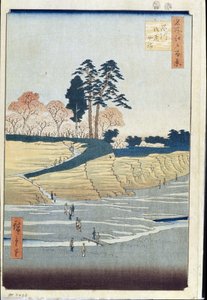 Cien vistas famosas de Edo: Colina del Palacio en Shinagawa