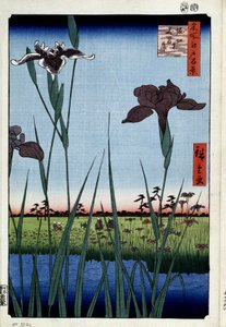 ""Cien vistas famosas de Edo"": ""iris a Horikiri" (Iris en Horikiri (Cien famosas vistas de Edo) Impresión japonesa por Utagawa Hiroshige (1797-1858) 1856-1858 Museo del Hermitage de San Petersburgo de Ando or Utagawa Hiroshige