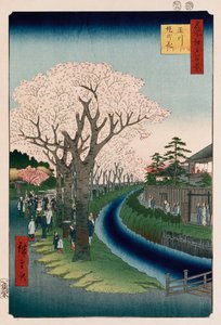 Cerezos en flor, terraplén del río Tama de Ando or Utagawa Hiroshige