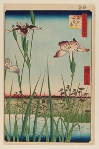 Jardín de Iris de Horikiri (Horikiri no Hanashobu) de Ando or Utagawa Hiroshige