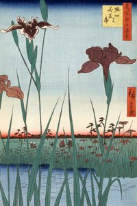 Jardín de lirios de Horikiri por Utagawa Hiroshige