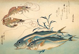 Caballa japonesa y langostino japonés de Ando or Utagawa Hiroshige