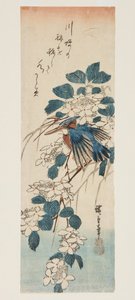 Martín pescador y viburno (grabado en madera a color) de Ando or Utagawa Hiroshige