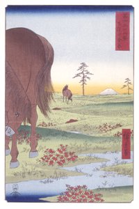 Llanura de Kogane en la provincia de Shim?sa (Shim?sa Koganegahara) (xilografía en color) de Ando or Utagawa Hiroshige