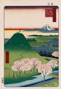 Nuevo Fuji, Meguro, de la serie Cien vistas de lugares famosos en Edo de Ando or Utagawa Hiroshige