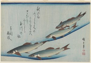 Escuela de Cinco Truchas de Mar, Período Edo de Ando or Utagawa Hiroshige