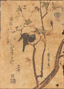 Estudio de un pájaro dormido en una rama de Ando or Utagawa Hiroshige
