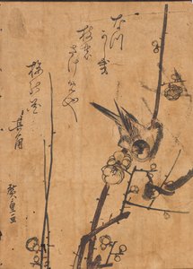 Estudio de un pájaro posado en una rama de Ando or Utagawa Hiroshige