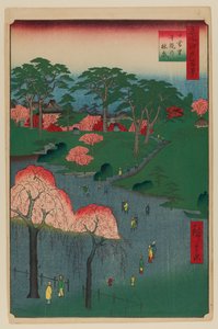 Jardines del Templo, Nippori