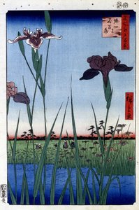 Iris de agua - Estampa japonesa de Utagawa Hiroshige. Cien vistas de Edo de Ando or Utagawa Hiroshige