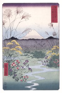 Llanura de ?tsuki en la provincia de Kai (Kai ?tsuki No Hara) (xilografía en color) de Ando or Utagawa Hiroshige