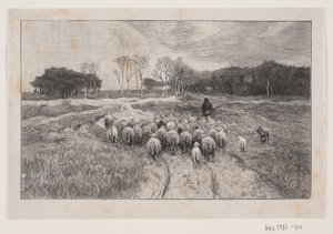 Paisaje con ovejas y pastor