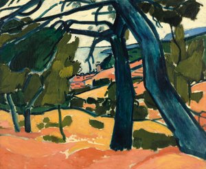 Paisaje en Cassis