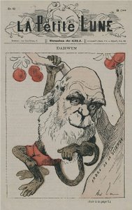 Darwin como mono en La Petite Lune de Andre Gill