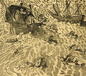 Peces voladores en mares tropicales, grabado de Cosmographie Universelle, por André Thevet (1504-1592), París de Andre Thevet