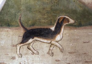 Atri, Catedral, Perro de Andrea Delitio