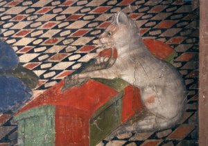 Catedral de Atri, gato de Andrea Delitio