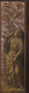 Una mujer bebiendo, c. 1500 de Andrea Mantegna
