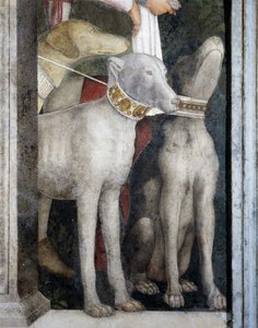 Perros molosos (detalle) de Andrea Mantegna