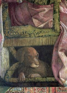 Rubino, el perro favorito de Marchese Ludovico Gonzaga III de Mantua y su familia de Andrea Mantegna