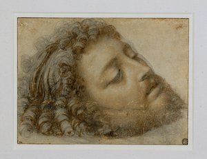 Cabeza de San Juan Bautista ... de Andrea Solario