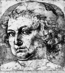 Cabeza de Hombre, o retrato de Andrea del Verrocchio, c.1450