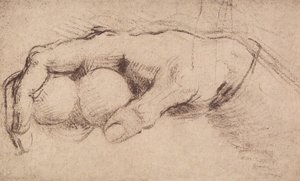 Una mano de Andrea del Sarto