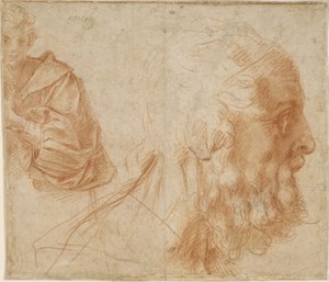 Un joven y la cabeza de un anciano Homero. Estudio, ca. 1521 de Andrea del Sarto