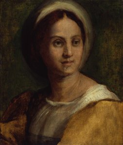  de Andrea del Sarto