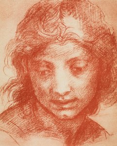 Cabeza de niño de Andrea del Sarto