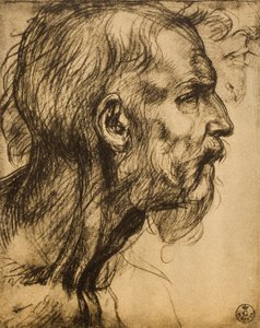 Cabeza del profeta Zacarías de Andrea del Sarto