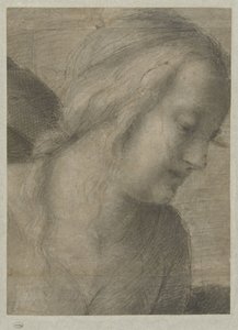 Cabeza de María, en una adoración de Andrea del Sarto