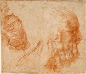 Joven y cabeza de anciano, probablemente Homero de Andrea del Sarto