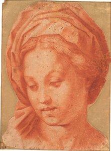 Madonna Borghese de Andrea del Sarto