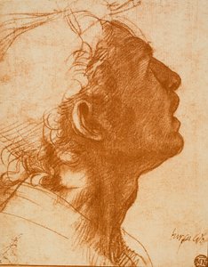 Cabeza masculina de Andrea del Sarto