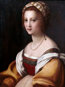 Retrato de mujer de Andrea del Sarto