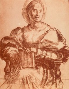 Retrato de Lucrezia del Fede de Andrea del Sarto