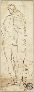 Desnudo masculino de pie de Andrea del Sarto