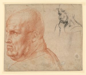  de Andrea del Sarto