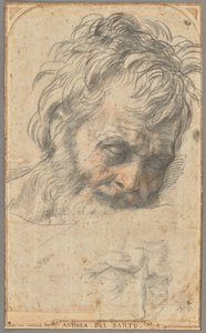 Estudio para la cabeza de San José (anverso); dos estudios de piernas (reverso) de Andrea del Sarto