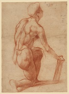  de Andrea del Sarto